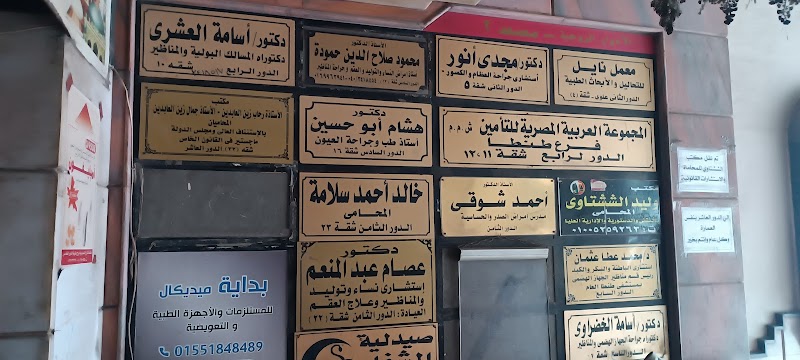 Arab Egyptian Insurance Group - GIG
