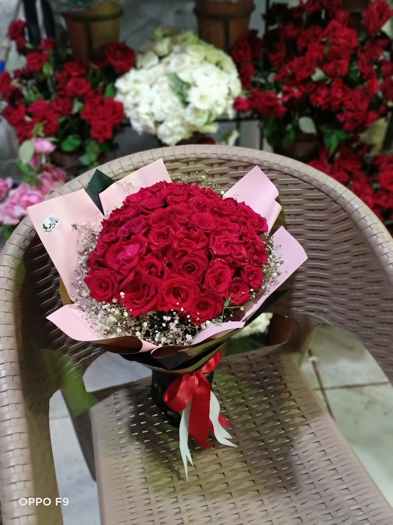 عالم الزهور - Photo 3