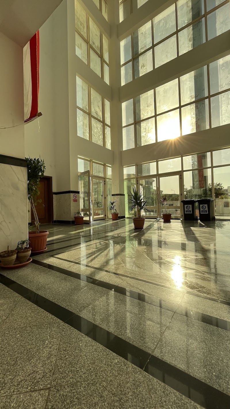 كلية السياسة والاقتصاد - جامعة السويس - صورة 2