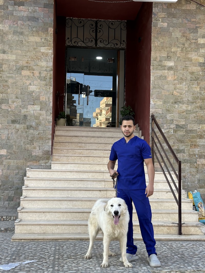 ARENA Veterinary Clinic - Photo 3