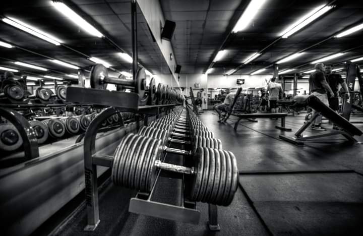 Egy Gym ,ايجى جيم - صورة 2