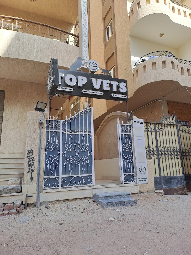 Top vets hurghada animal center