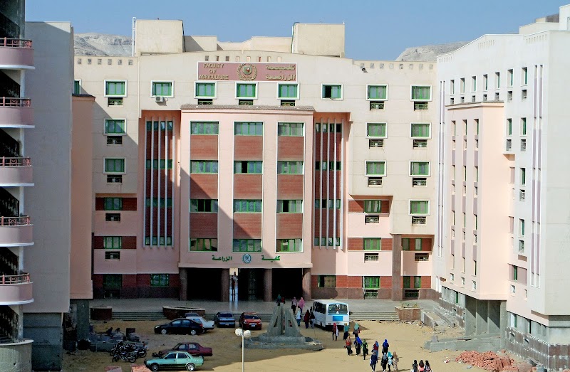 Sohag University - Photo 1