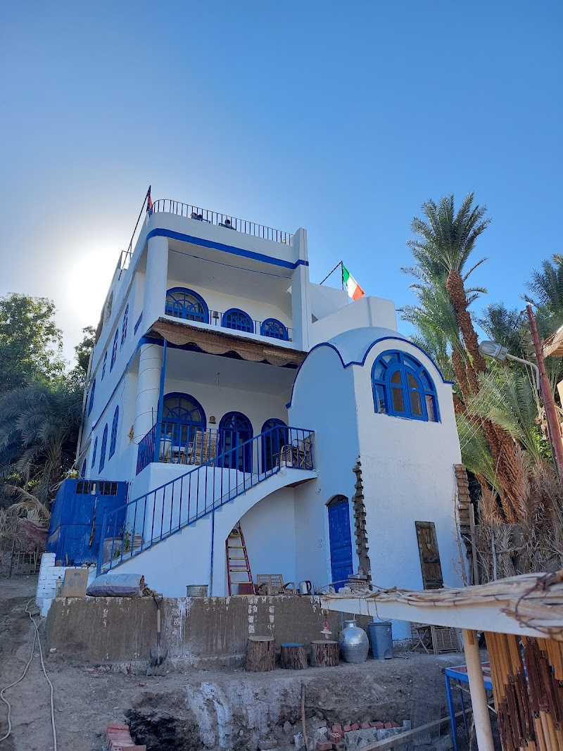 Nubian Lotus - Photo 1