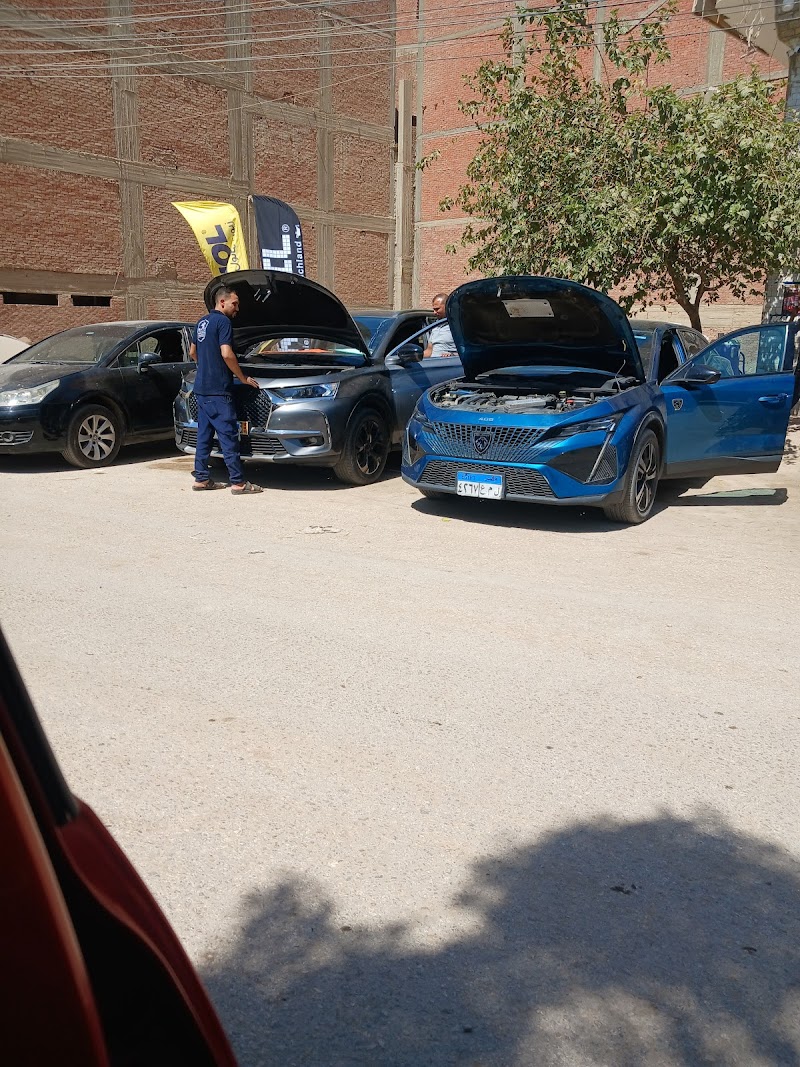 مركز الاسد الفرنسي الفيوم - لصيانة السيارات الفرنساوي - Photo 1