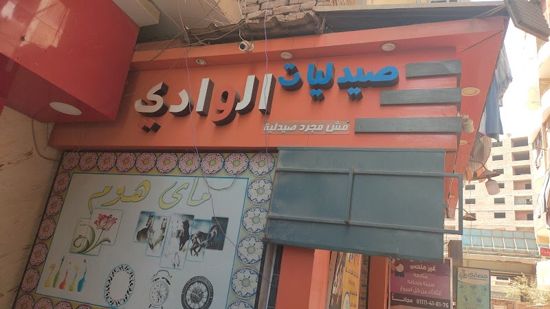 صيدلية الوادي - صورة 3