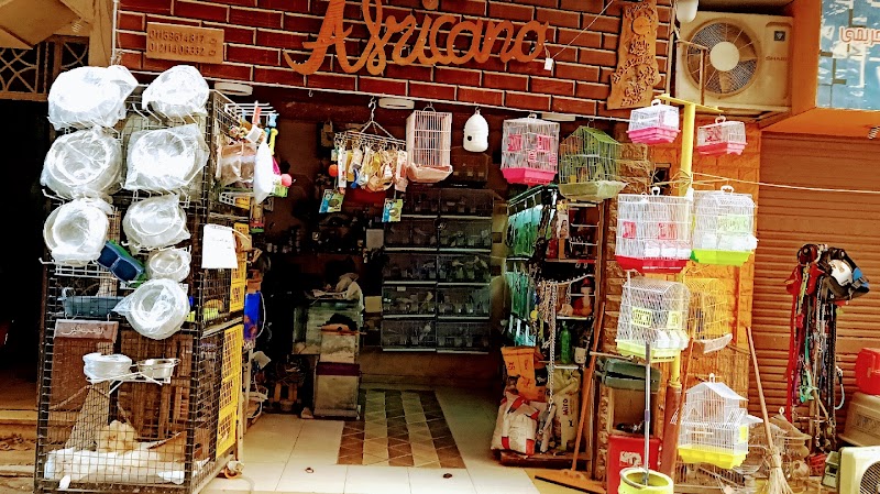 Africano - Photo 1