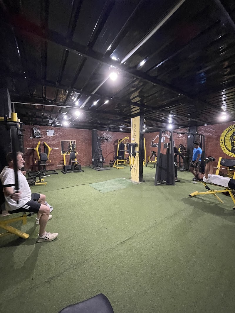 Lion Gym - صورة 1