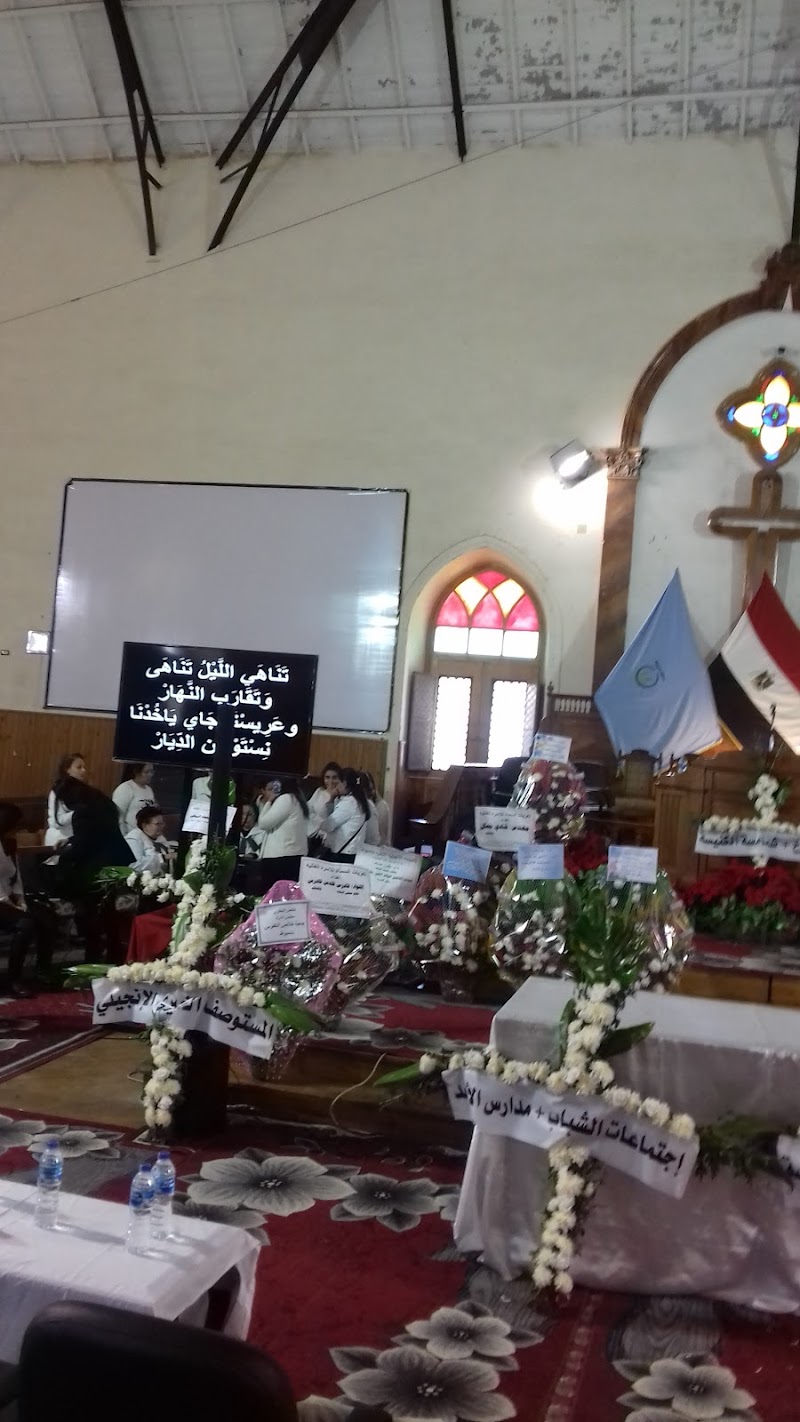 دنيا العصافير