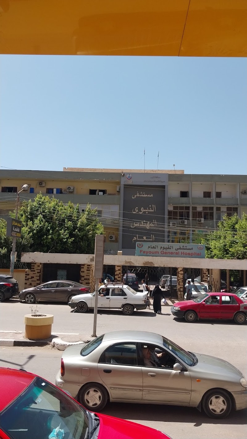 El Nabawy El Mohandes General Hospital - Photo 3