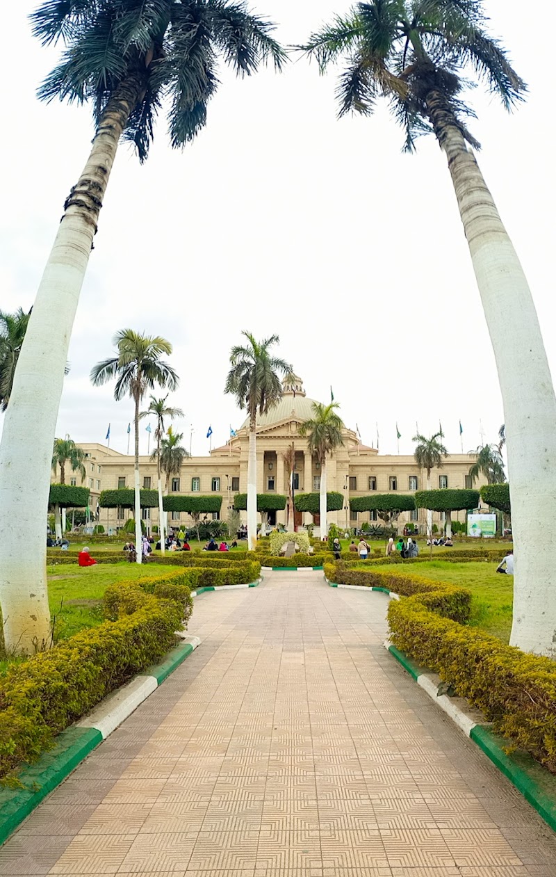 جامعة القاهره - صورة 2