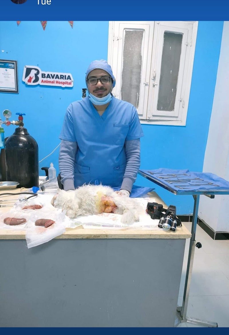 Bavaria Animal Clinic - عيادة د.محمد كمال البيطرية - Photo 2