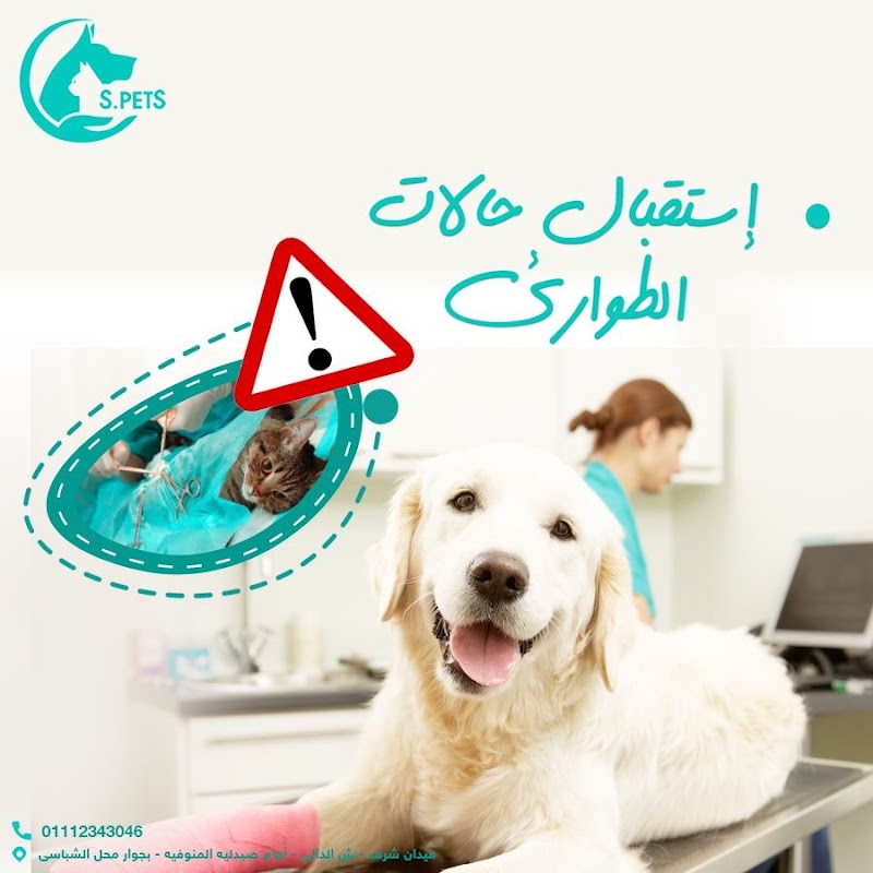 Silvia pets clinic - صورة 1