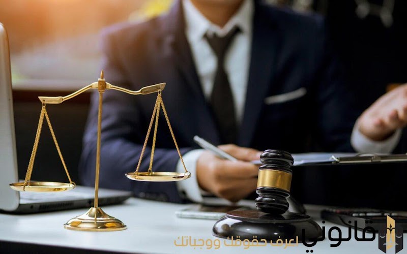 El-Bedihy Law Firm & El-Bedihy and Co Real Estate and legal services - Photo 2