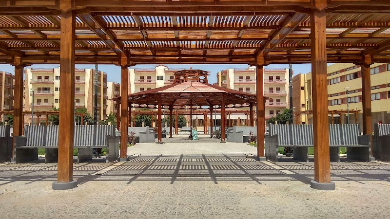 Ismailia Technical health institute - صورة 2