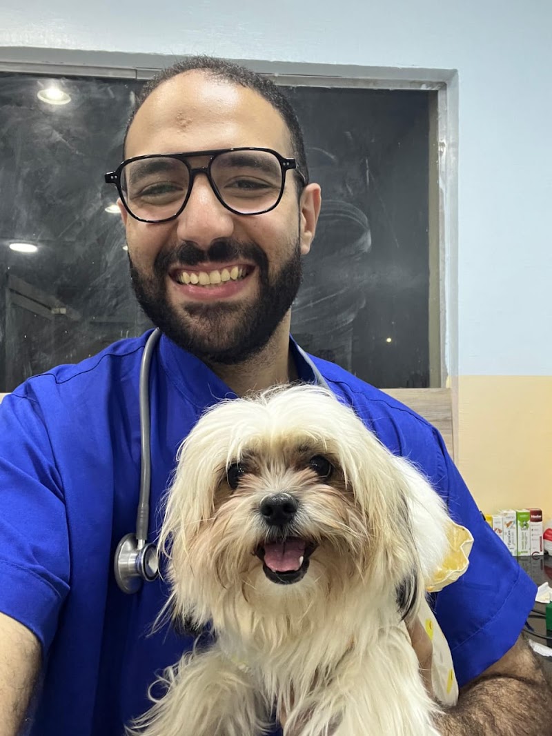 Pawspitalia Veterinary Center