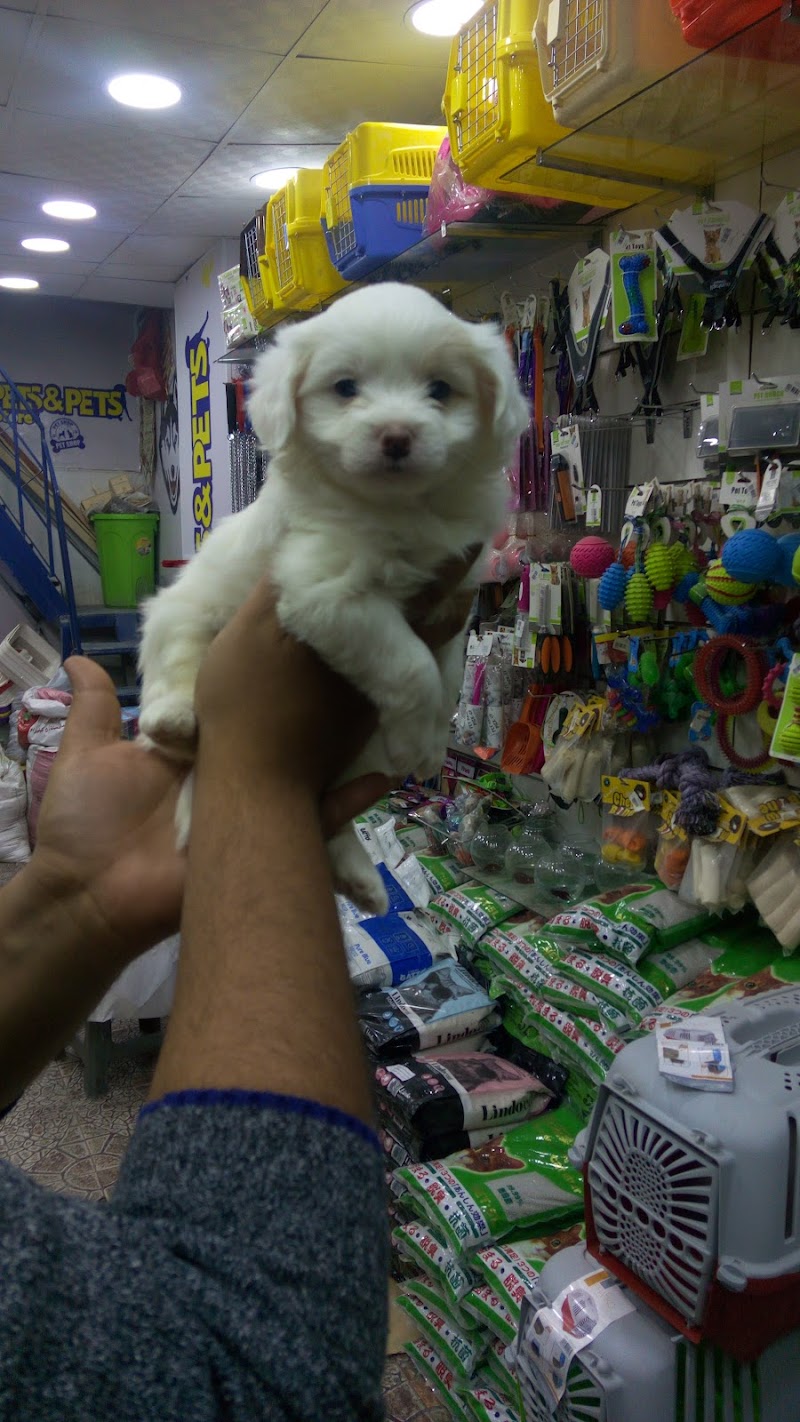 Pets&pets store - Photo 1