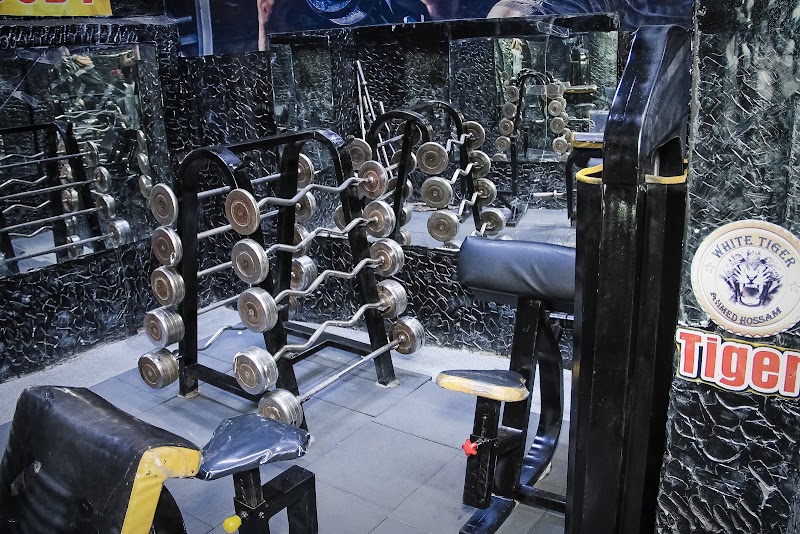 White tiger gym - صورة 1