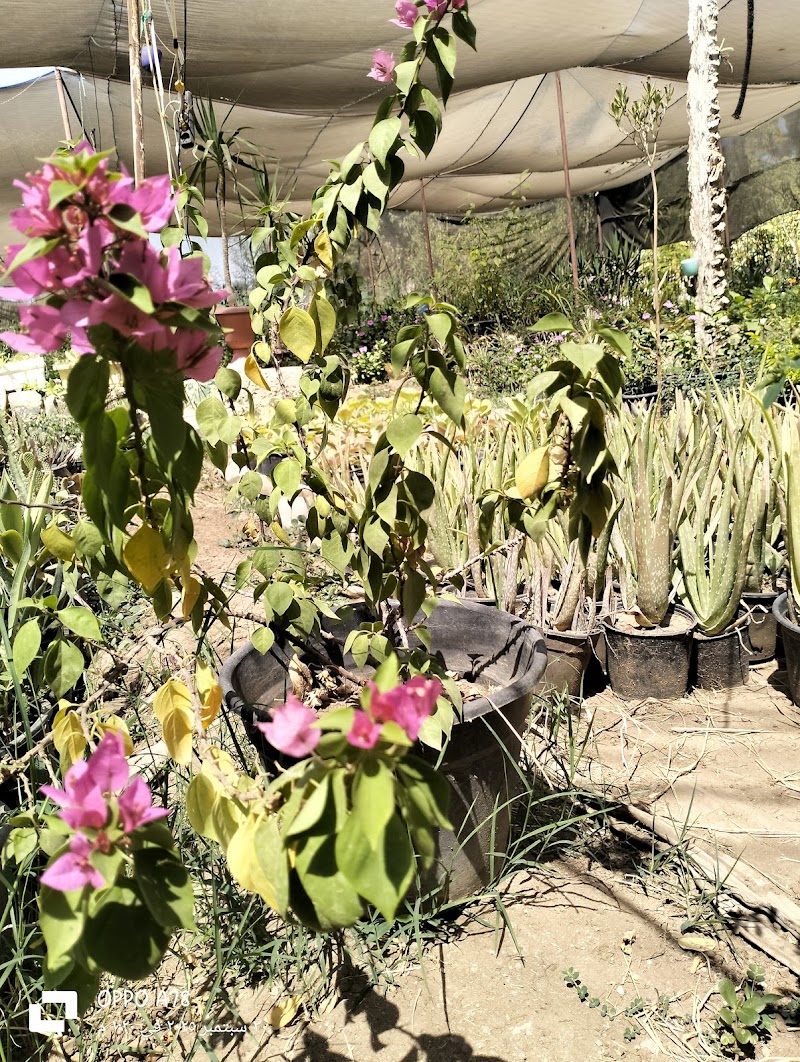 مشتل البستان - Photo 3