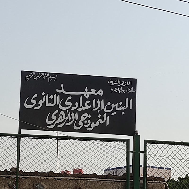 معهد أسيوط النموذجي بنين
