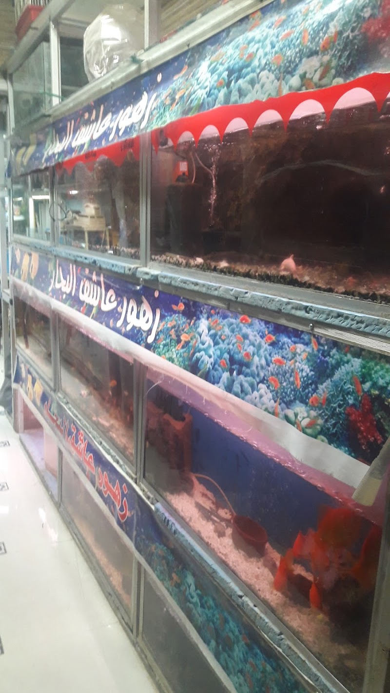 مستلزمات حيوانات