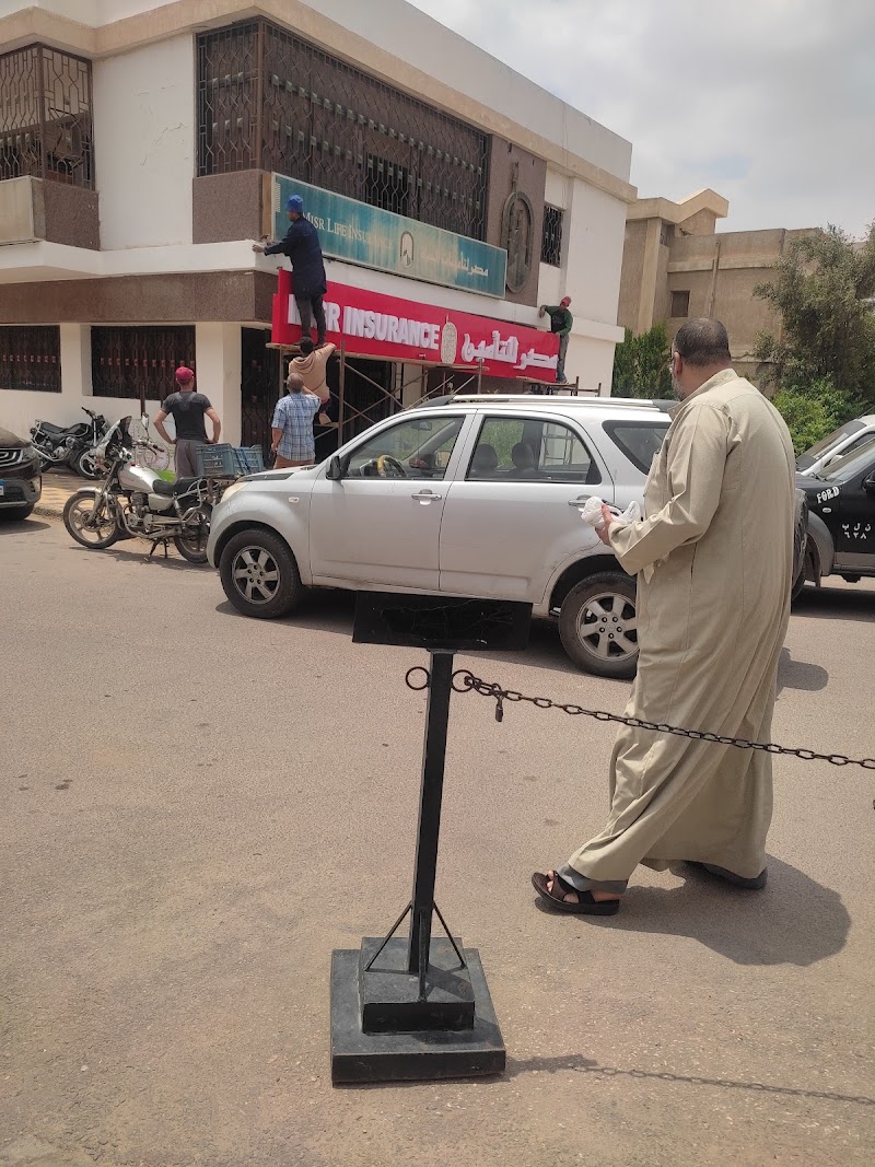 مصر للتامين - صورة 2
