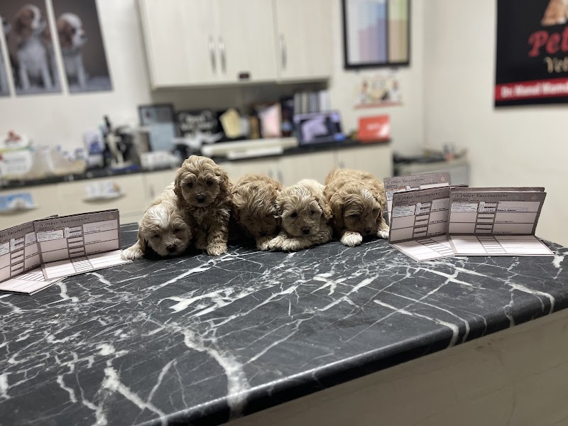 Pets House Veterinary Clinic - صورة 2