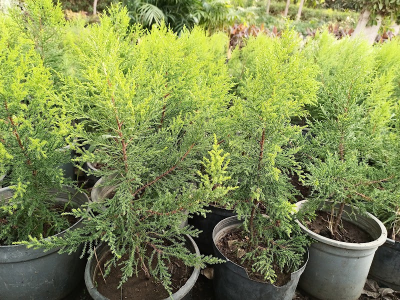 مشتل كلية الزراعة جامعة المنوفية - Photo 3