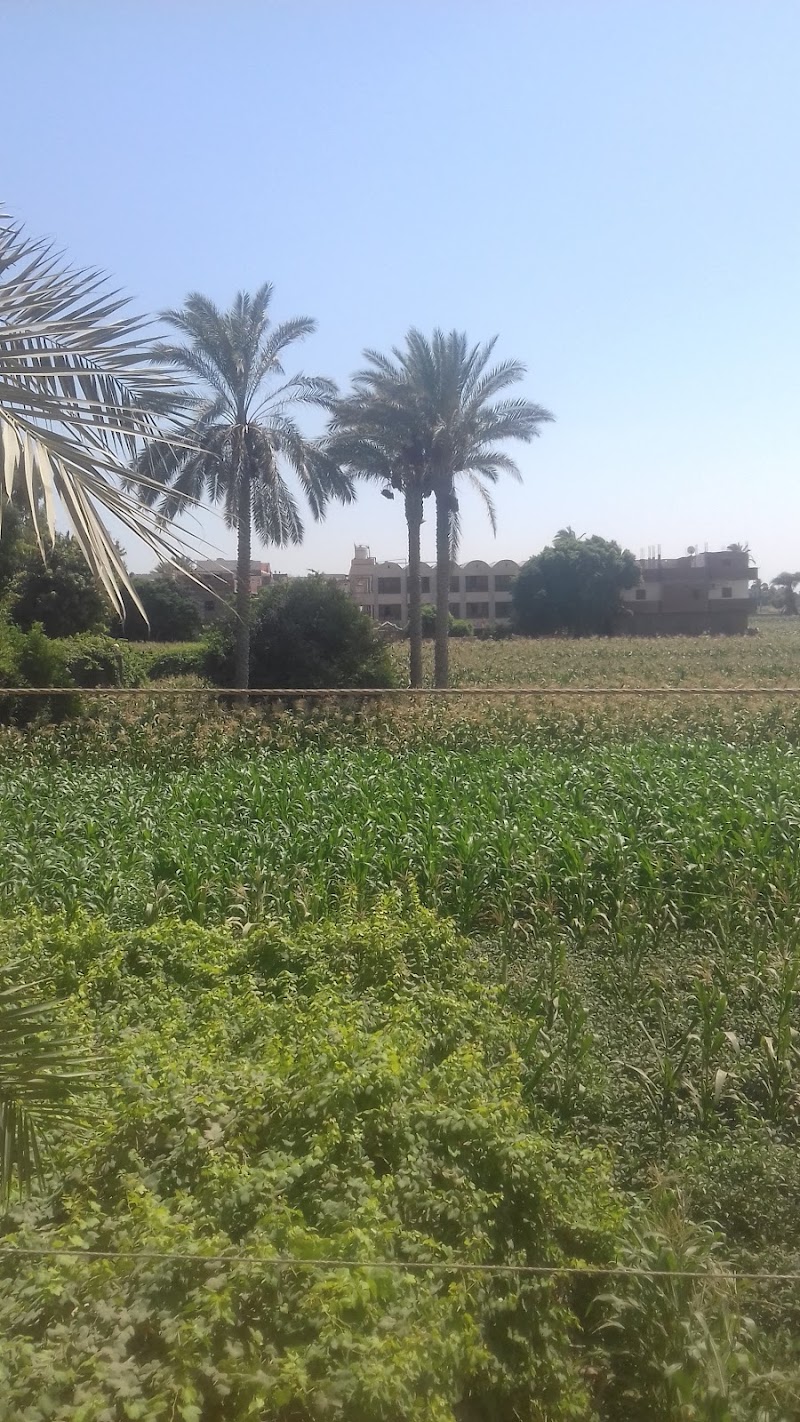 ستوديو فرح - صورة 1