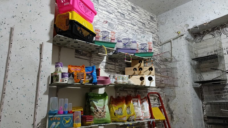 افريكانو لطيور الزينه ومستلزمات الحيوانات الاليفه - Photo 1
