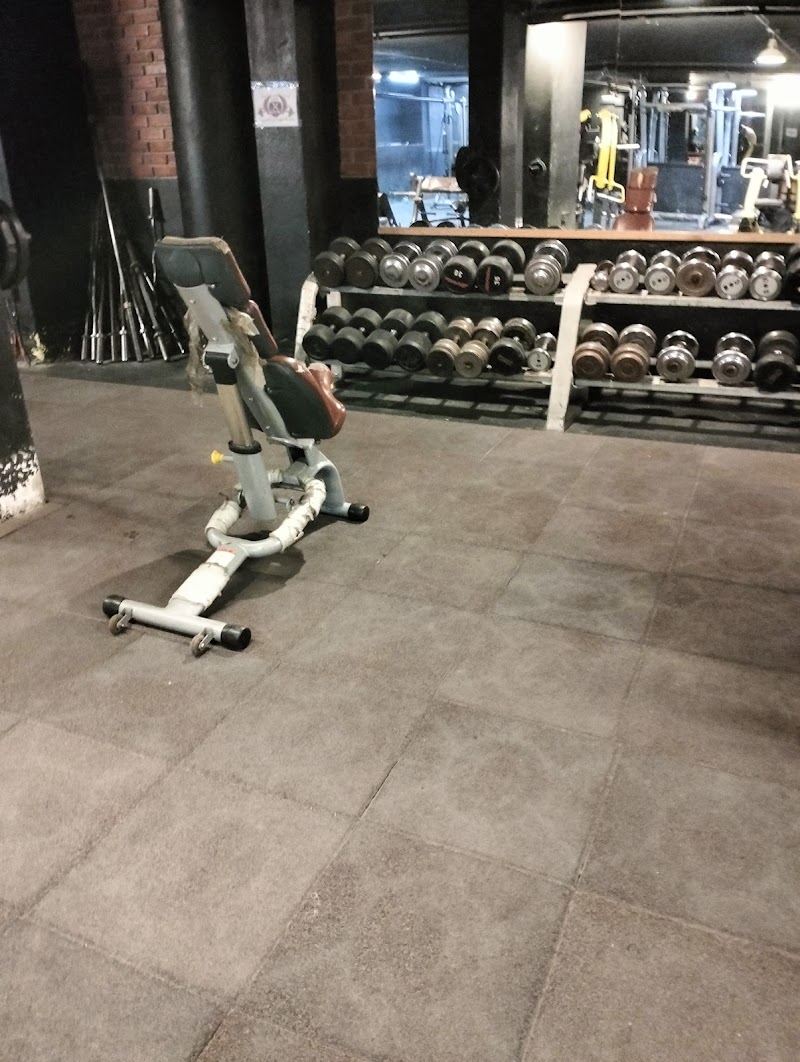 X GYM