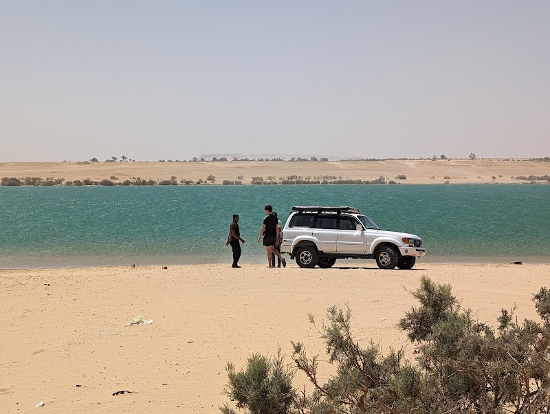Amru Tours - صورة 3