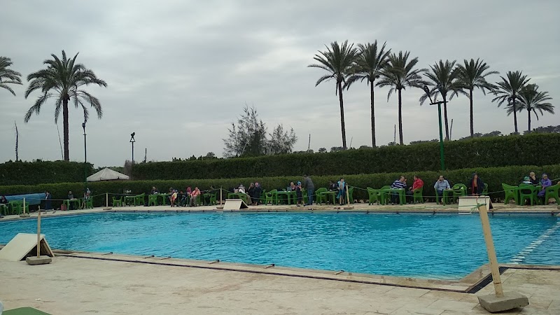 نادي العبد - صورة 3