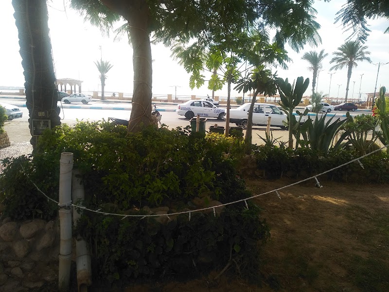 Habiba Cafe - صورة 3