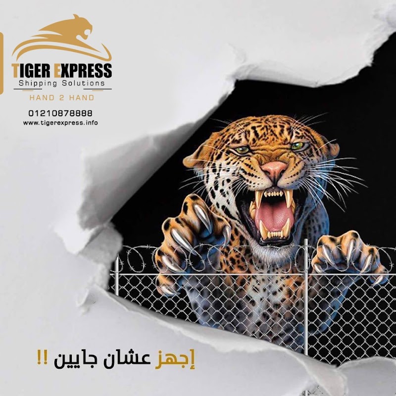 تايجر اكسبريس - Tiger Express - صورة 3