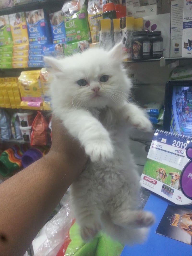 Pets&pets store - Photo 3