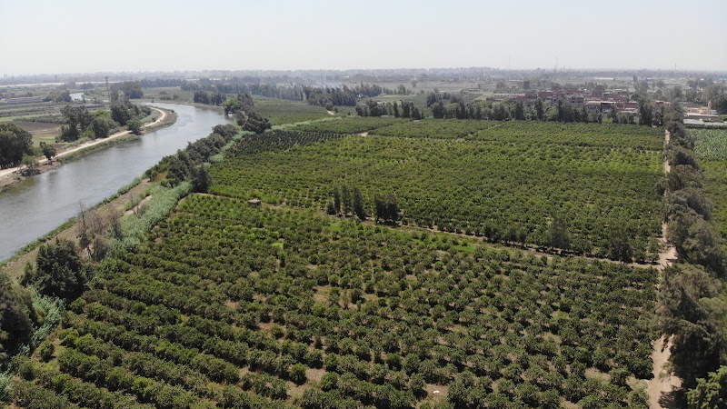 Marei Orchards and Nursery - صورة 1