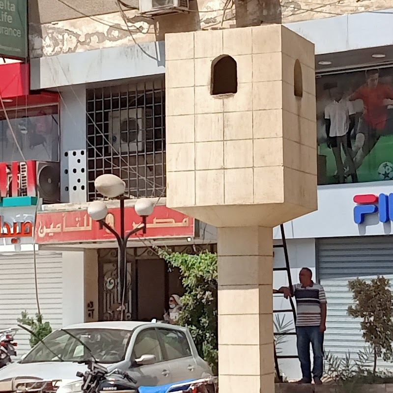 شركة مصر لتأمينات الحياة_ فرع الفيوم