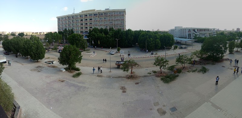 جامعة جنوب الوادي
