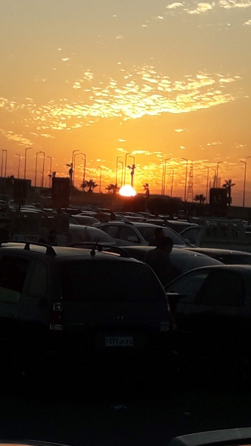 ماركت الفلسطينى - Photo 3