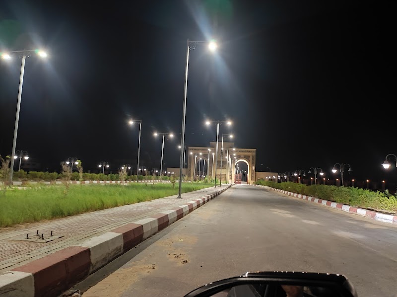 جامعة الوادي الجديد