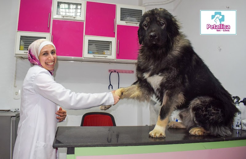 Petallica Vet Clinic - Photo 2