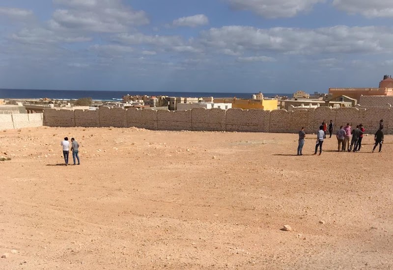 شركة تعمير مصر للمقاولات العامة و استصلاح الأراضي - صورة 1