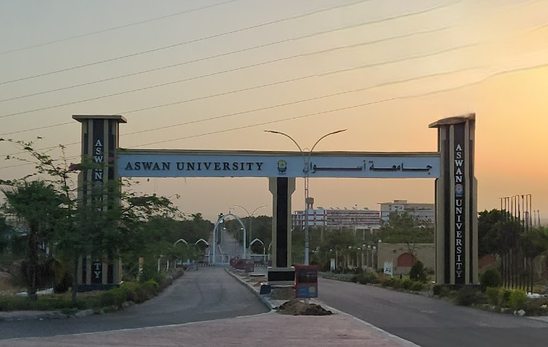 Aswan University - Photo 1
