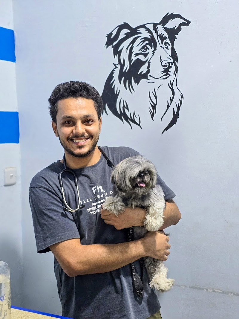 Petso Vet Clinic - صورة 2