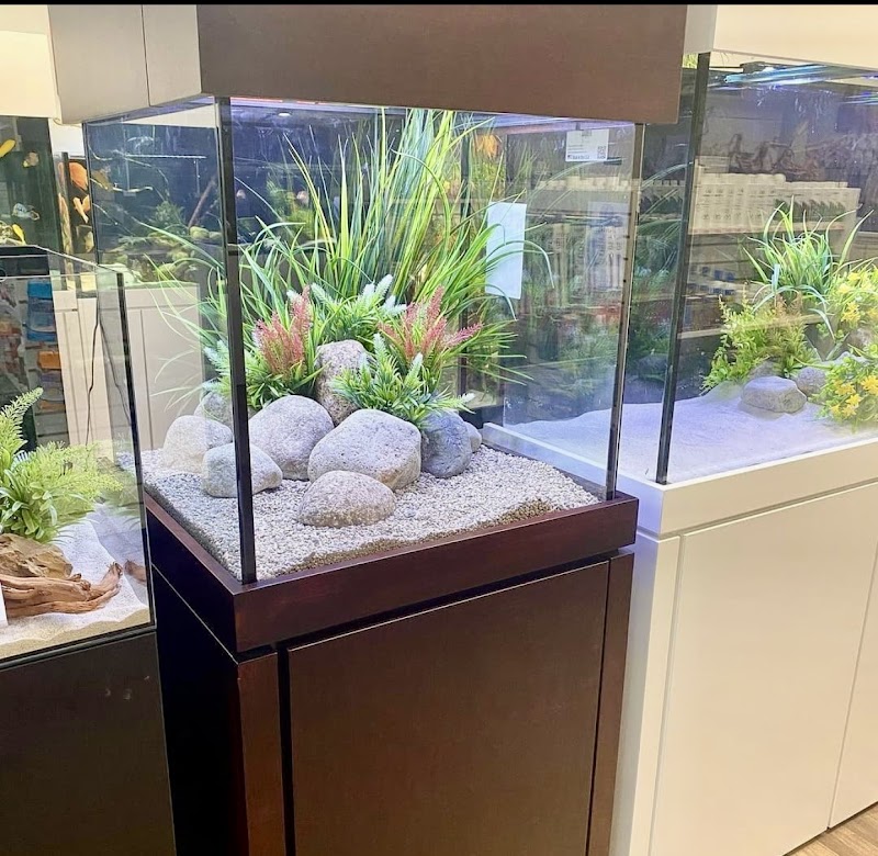 Al bahey pet shop - Photo 3