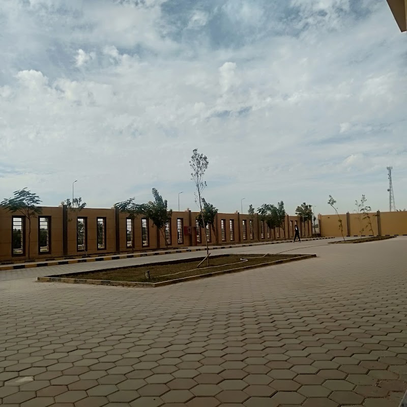 المصرية للعلوم و التكنولوچيا EST - صورة 2