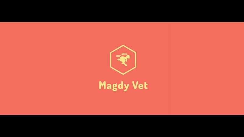 Animal Club Vet Clinic and Pet Store عيادة الخدمات البيطرية - Photo 1