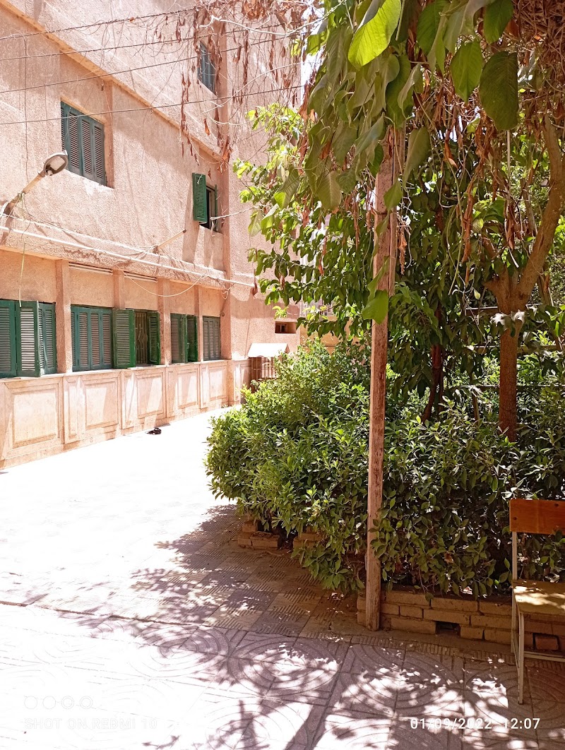 المعهد الفني للتمريض جامعة المنوفية