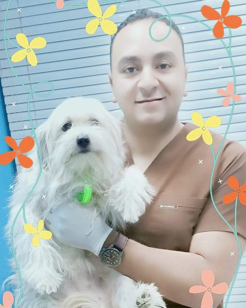 Happy Pets - Marina Branch - صورة 2